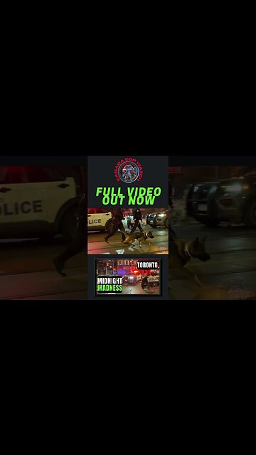 🍁🚔🎥 Racky Views Of Midnight Madness K9 Search