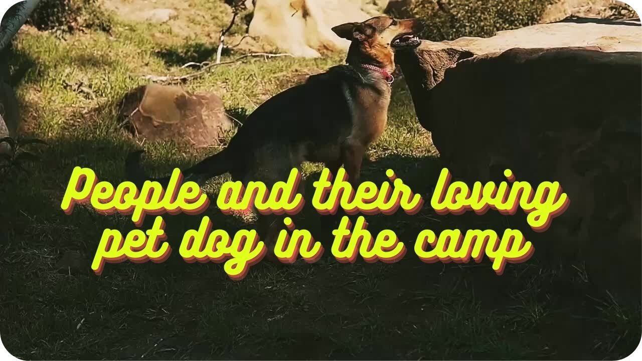 People and their loving pet dog in the camp