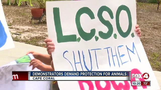 Animal activists protest State Attorney candidate Amira Fox