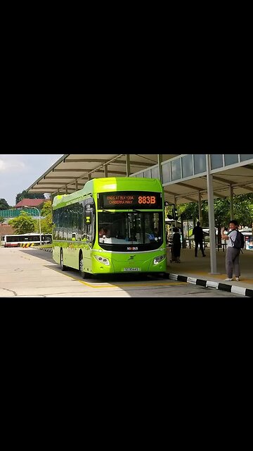 Bus Spotting at various places in Singapore V