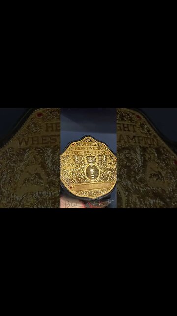 Which Set Of Unified Belts Do You Prefer? #shorts