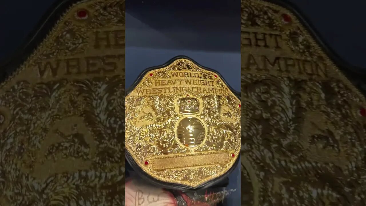 Which Set Of Unified Belts Do You Prefer? #shorts