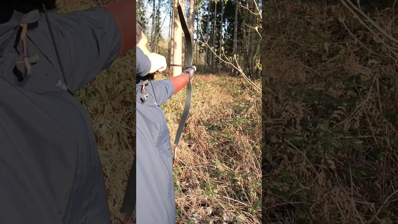 78lbs @ 28” SALUKI BOW IN THE WOODS 3D SHOOT