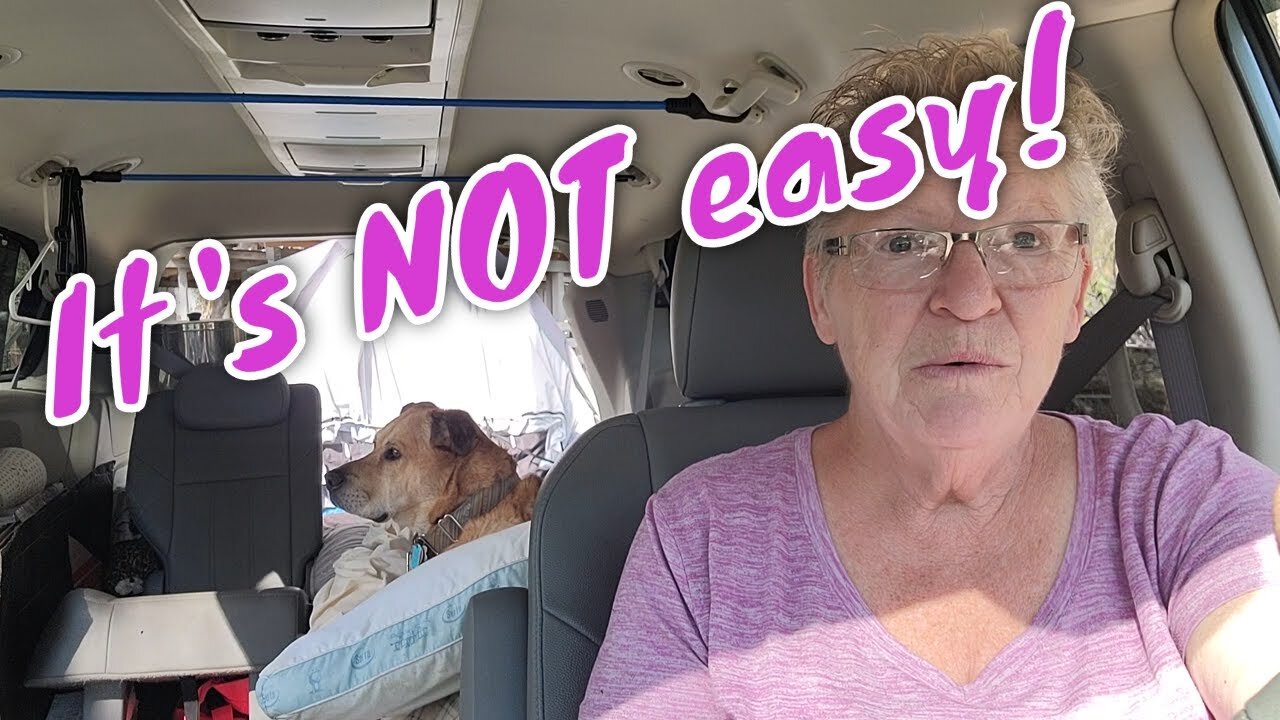 Pros and Cons of Vanlife with Dogs | Travel Options