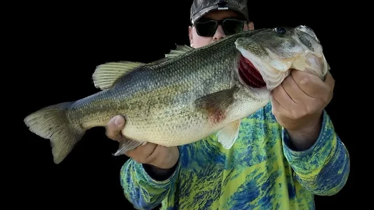 This Golf Course has MONSTER Bass!