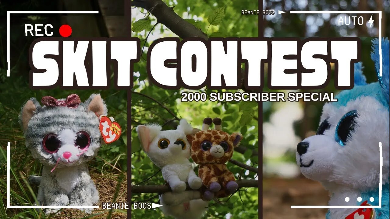 Join Now! BEANIE BOO SKIT CONTEST #SafariSkitCon