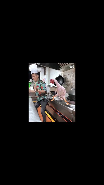 SIZZLING SALSA CHEF 👨‍🍳