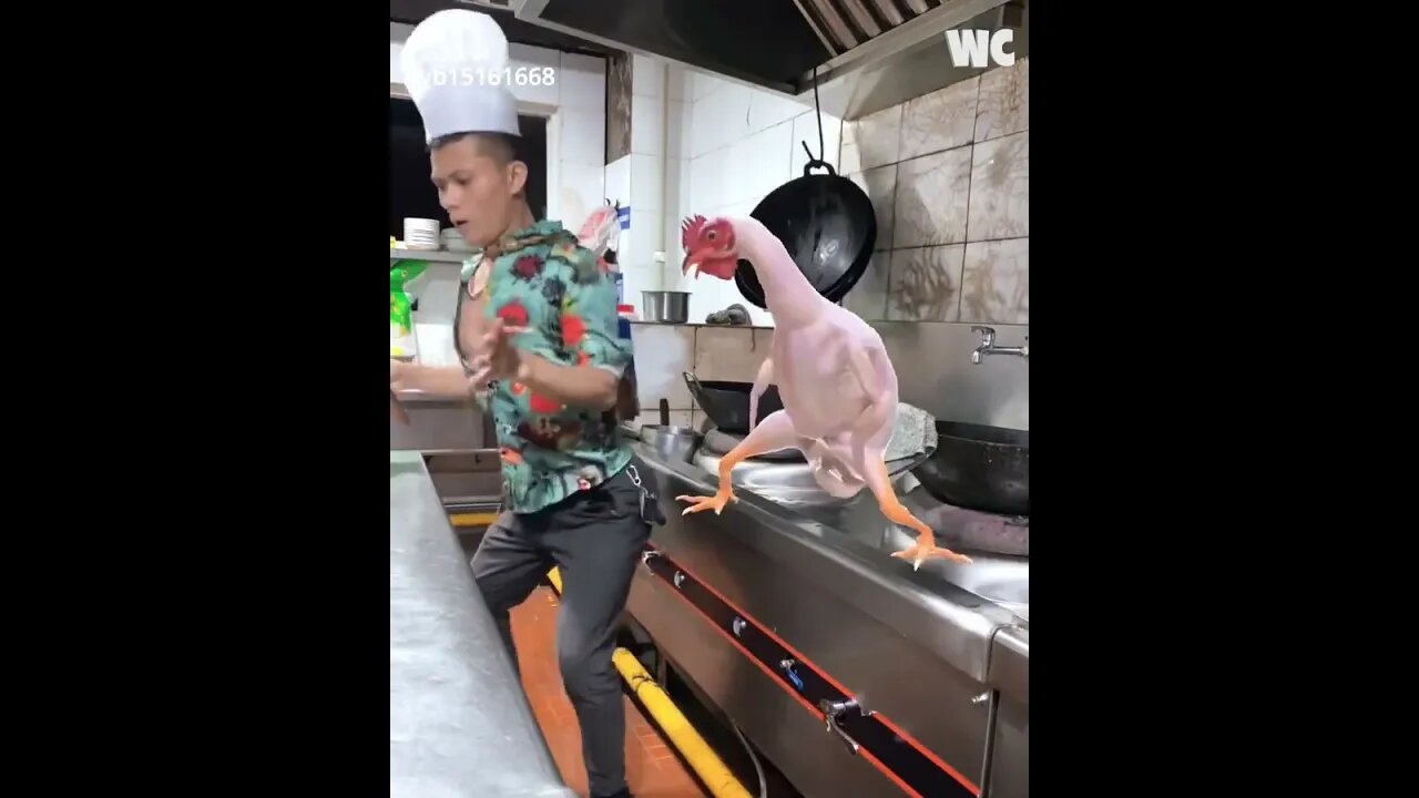 SIZZLING SALSA CHEF 👨‍🍳