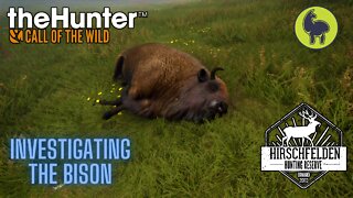 The Hunter: Call of the Wild, Bhandari- Investigating the Bison, Hirschfelden (PS5 4K)