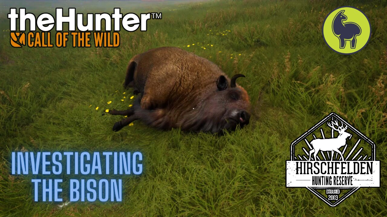 The Hunter: Call of the Wild, Bhandari- Investigating the Bison, Hirschfelden (PS5 4K)