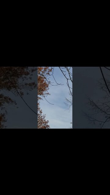 U.S. bomber being escorted over Indiana 1400 hours today