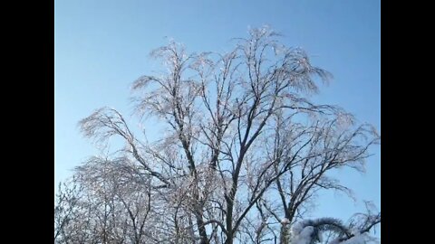 Images of winter in Poland, Stopnica and Wolica