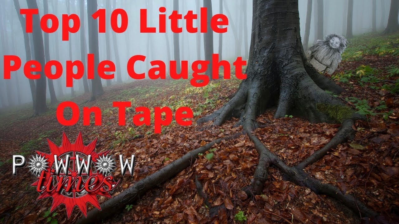 Top 10 Little People Caught On Tape