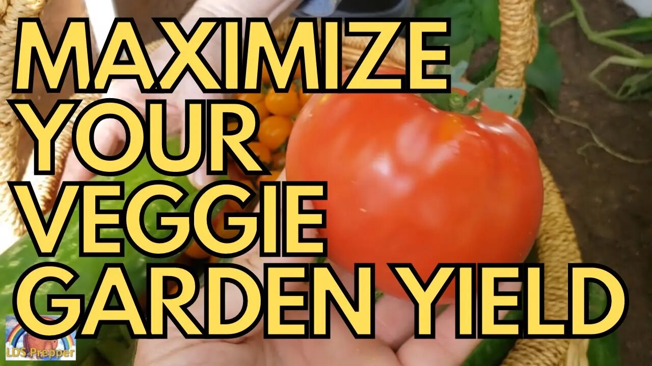 🍅 How To Maximize Your Vegetable Garden Yield 🍅