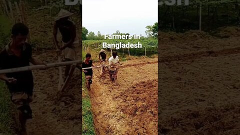 hard workers in Bangladesh. #shorts