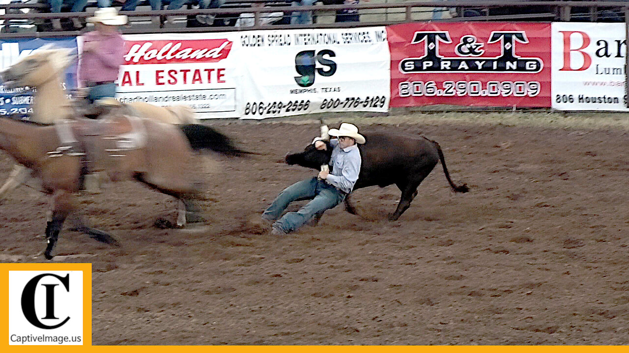 Steer Wrestling - 2023 Wellington Pro Rodeo | Friday