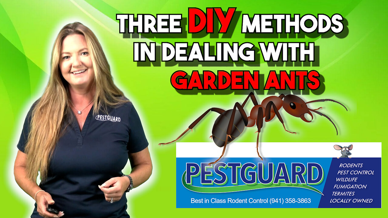 🚫 Bug Off! 3D DIY Methods for Effective Pest Control 🐜🕷️