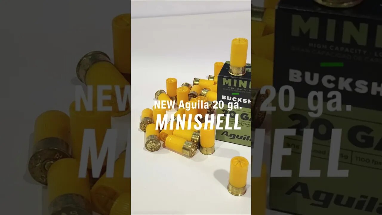 New Aguila 20 guage Minishell