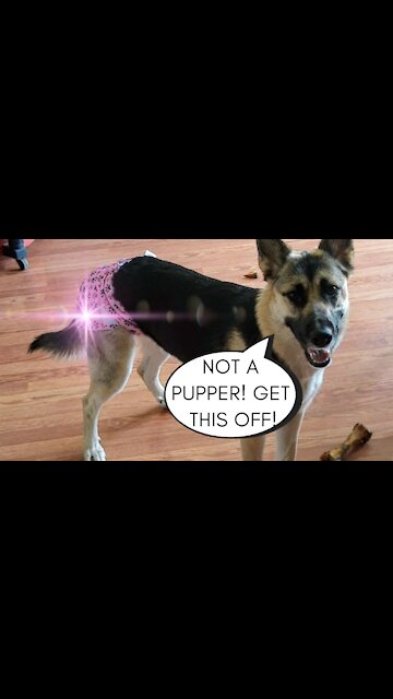 Gives Me Attitude Because She Has To Wear A diaper