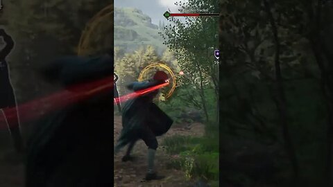 Hogwarts Legacy Combat Against Poachers 1 #short