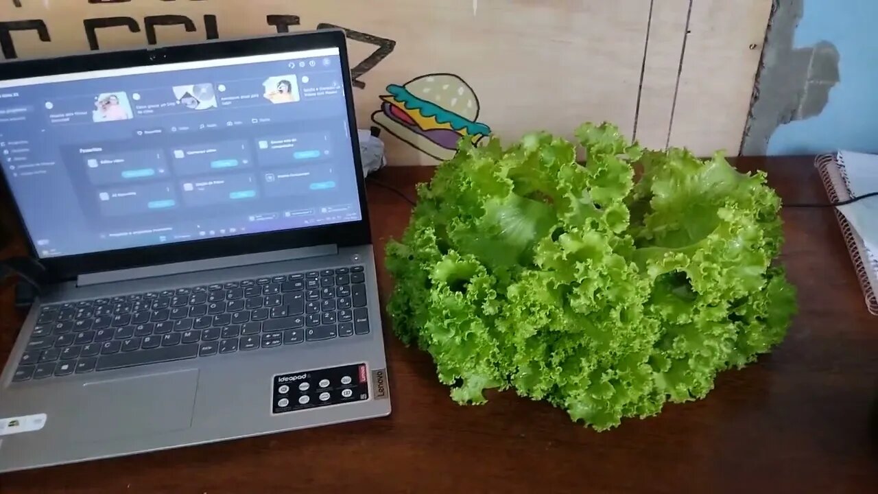 Growing vegetables in Brazil...