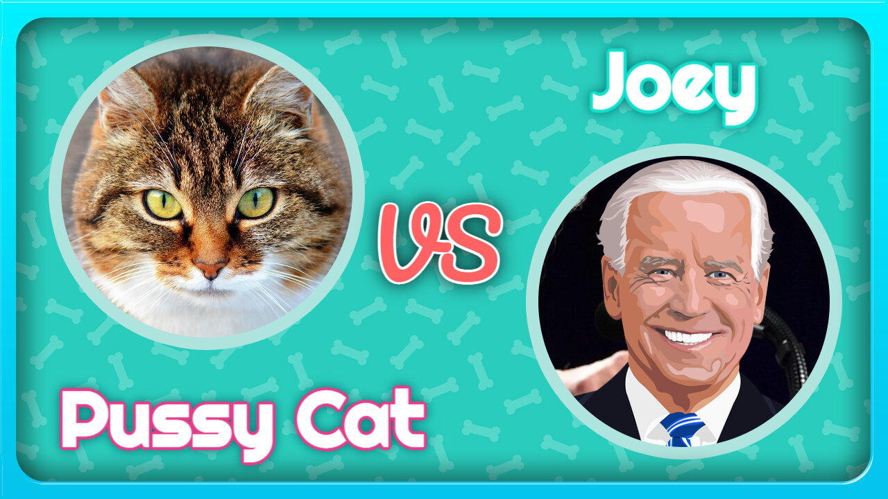 Cat Speaking Better Than Joe Biden