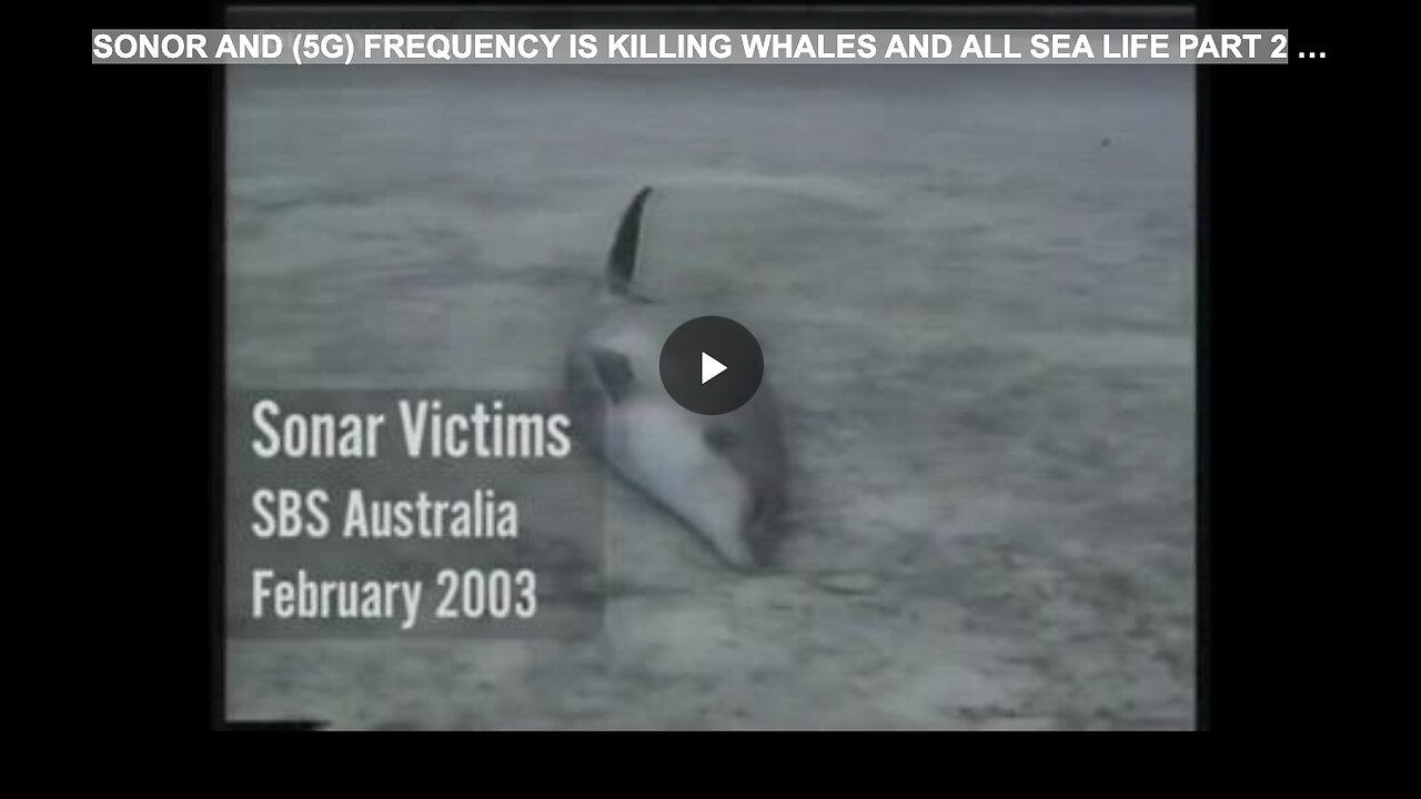 SONOR AND (5G) FREQUENCY IS KILLING WHALES AND ALL SEA LIFE PART 2