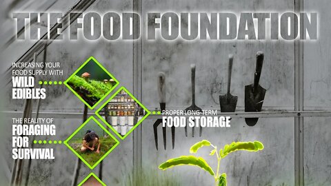 The Food Foundation