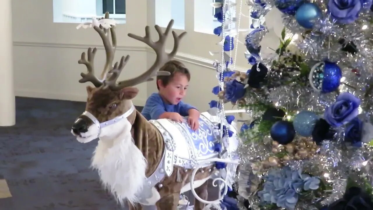 Beautiful winter decorations - Christmas and more - Levi and the reindeer at MorningStar Ministries