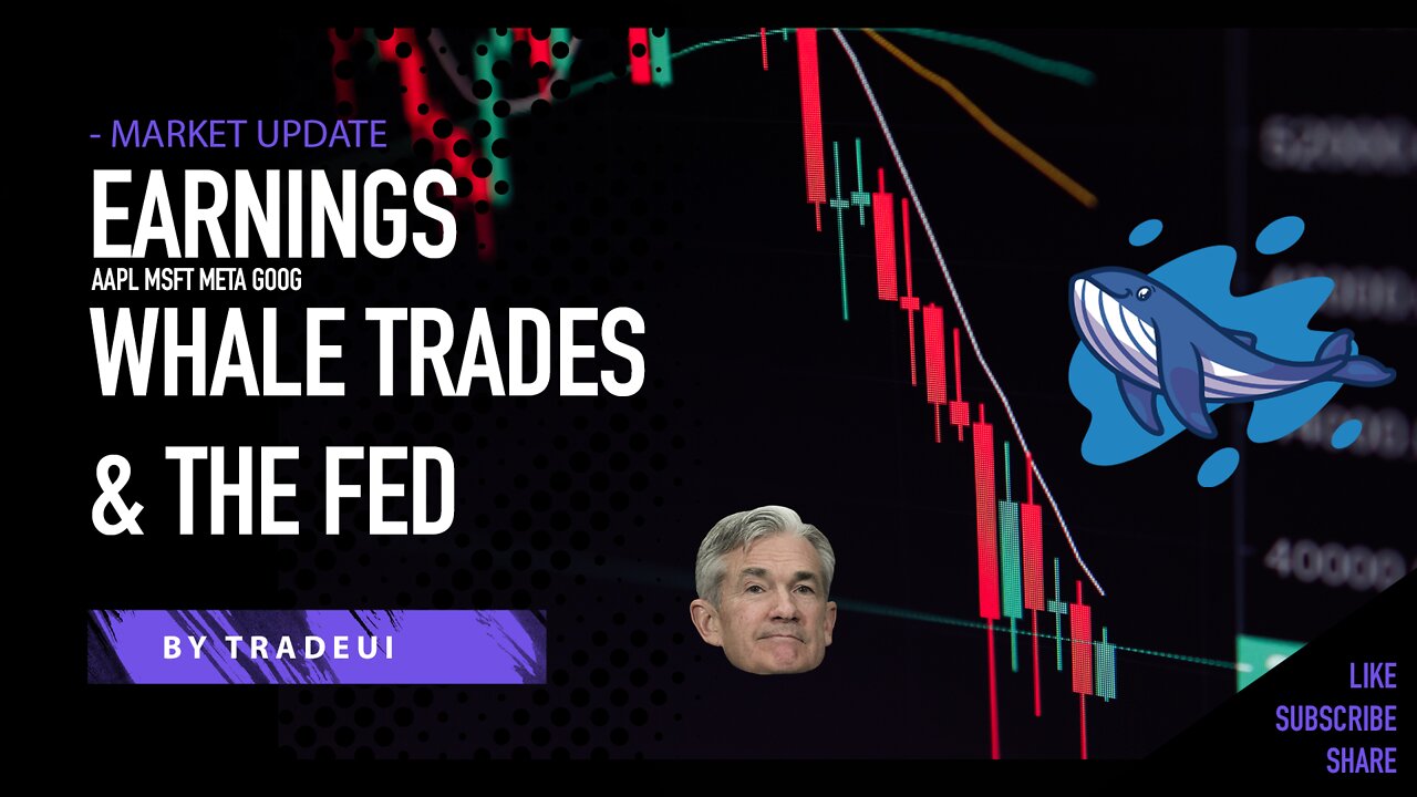 Big Tech Earnings, the FED and Whales money flow, a market update