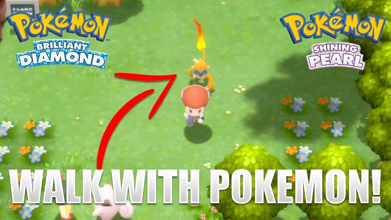 How To Walk With Your Pokemon in Pokemon Brilliant Diamond & Shining Pearl