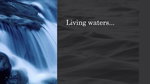 Morning by Morning Spurgeon Encouragement 6th November