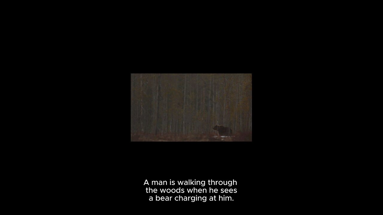 what would you do with the bear ?!