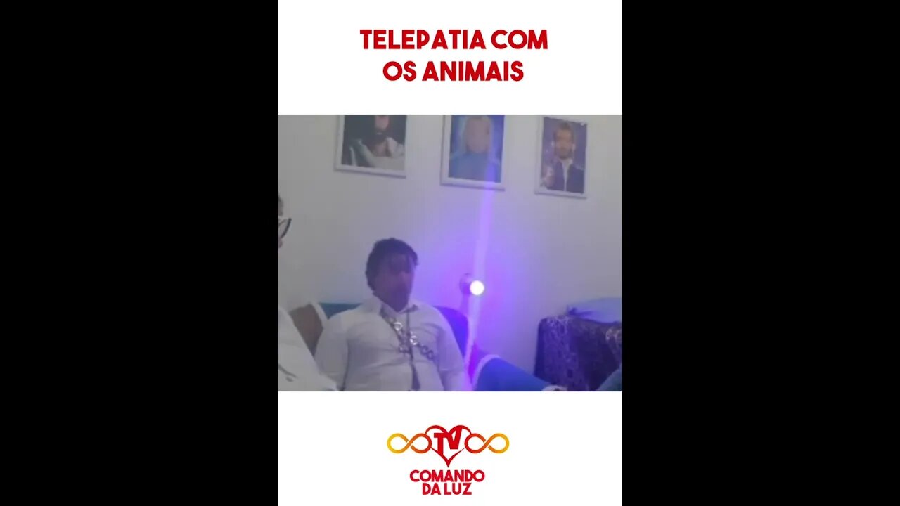 Telepatia com os Animais #shorts