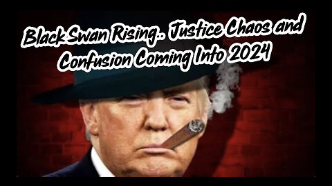 Black Swan Rising.. Justice Chaos and Confusion Coming Into 2024