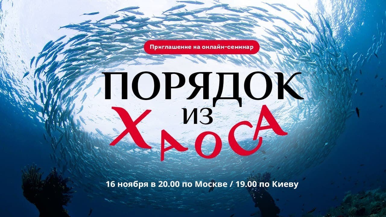 риглашение на онлайн-семинар "Порядок из хаоса". 16 ноября. Бизнес психология.