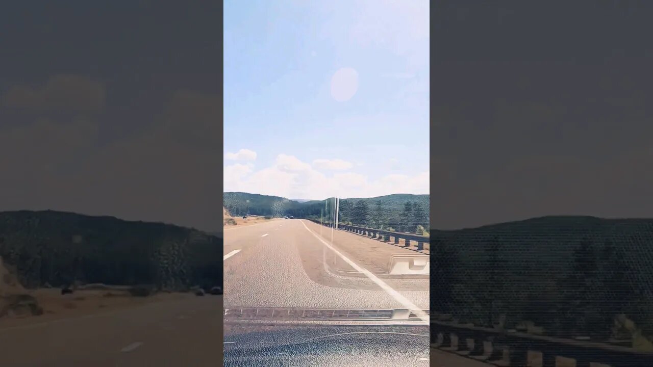 This drive through an Arizona forest was therapeutic #shortvideo #highway #mattmaeson