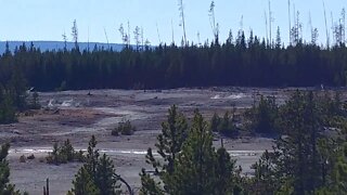 Norris Back Basin