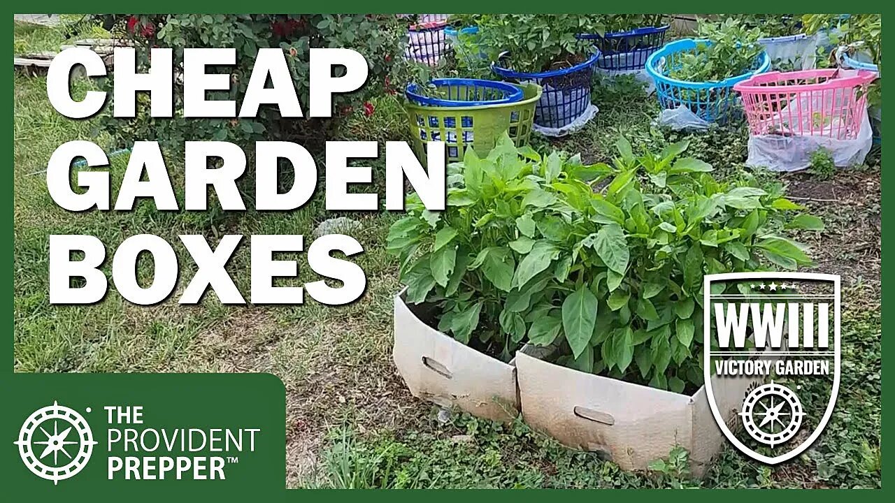 WWIII Victory Garden: Cheap Garden Container Ideas by Kris at Citygirl Homestead