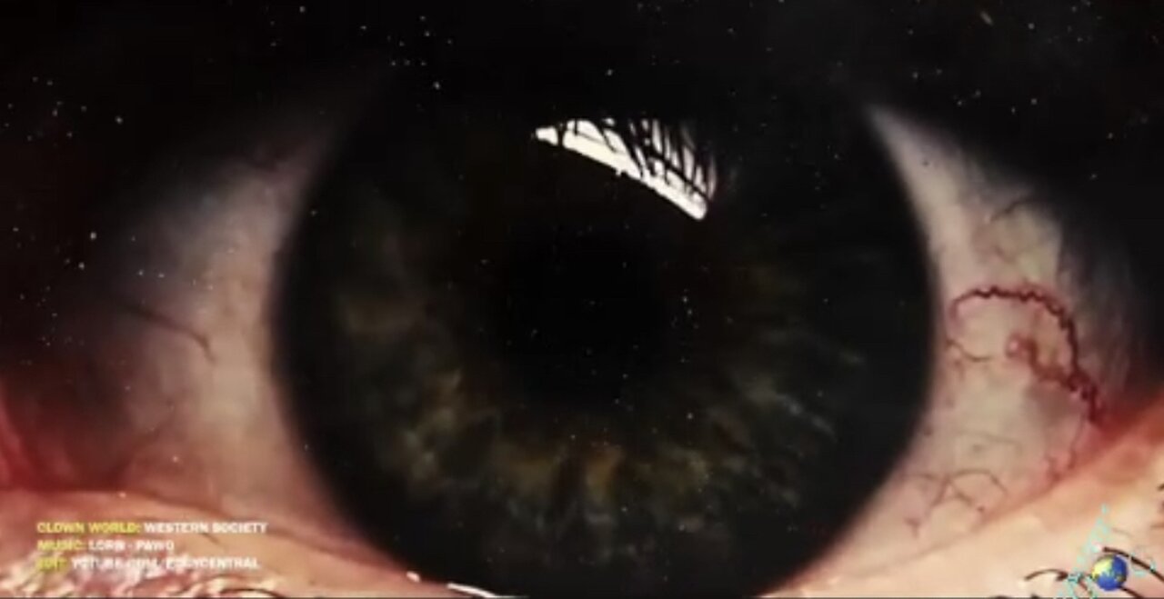 Inside the craziness that is the liberal and transgender mind