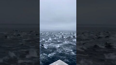 This is breathtaking