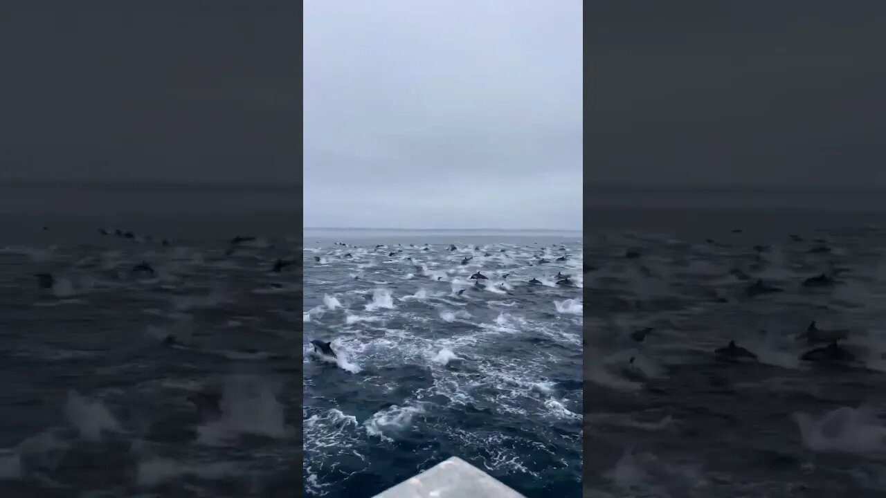 This is breathtaking