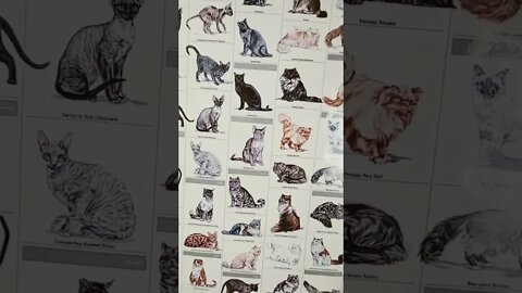 cats of the world