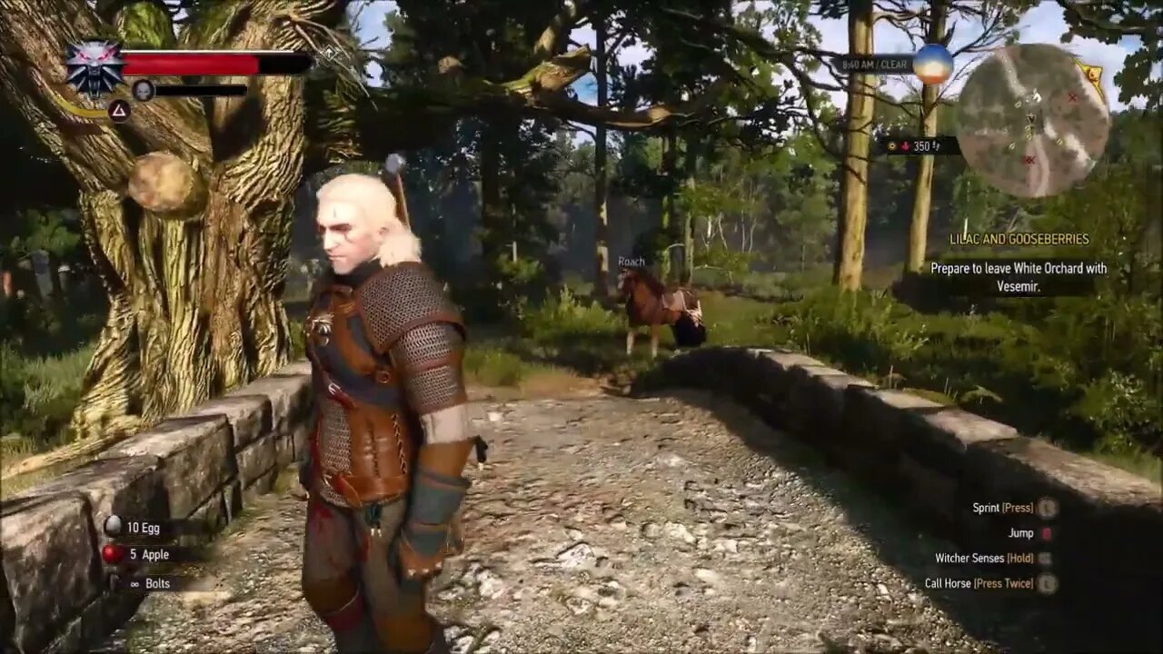 The Further Misadventures of Geralt & Roach (The Witcher 3: Wild Hunt)