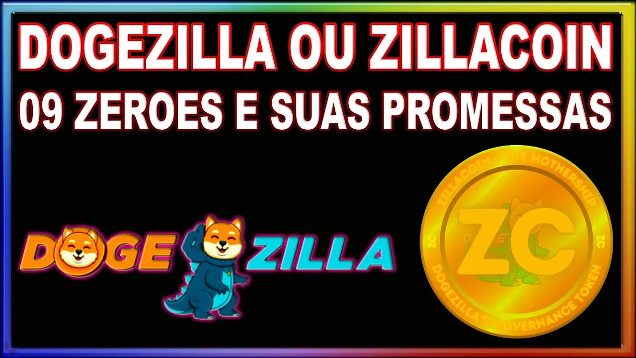 DOGEZILLA OU ZILLACOIN 09ZEROES E SUAS PROMESSAS