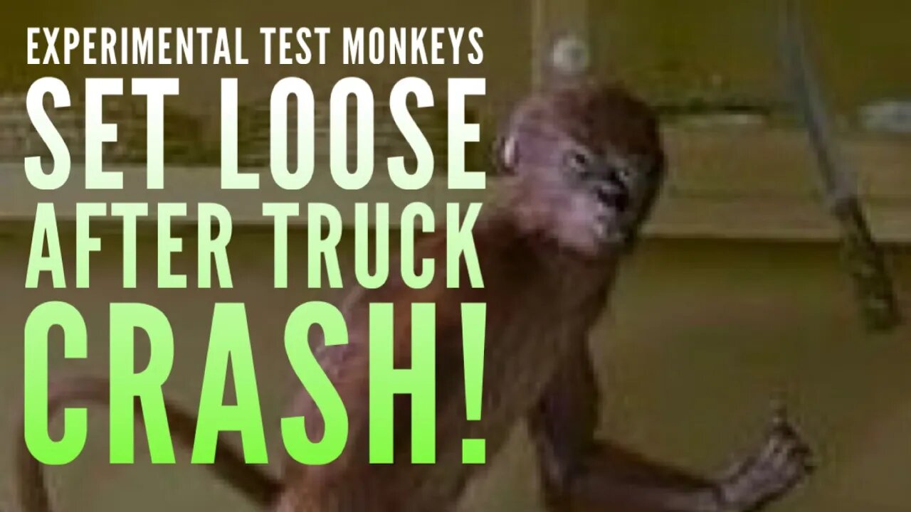 Monkey Pox! -HOFFCAST REWIND - I WARNED Everyone About This In January 2022!!