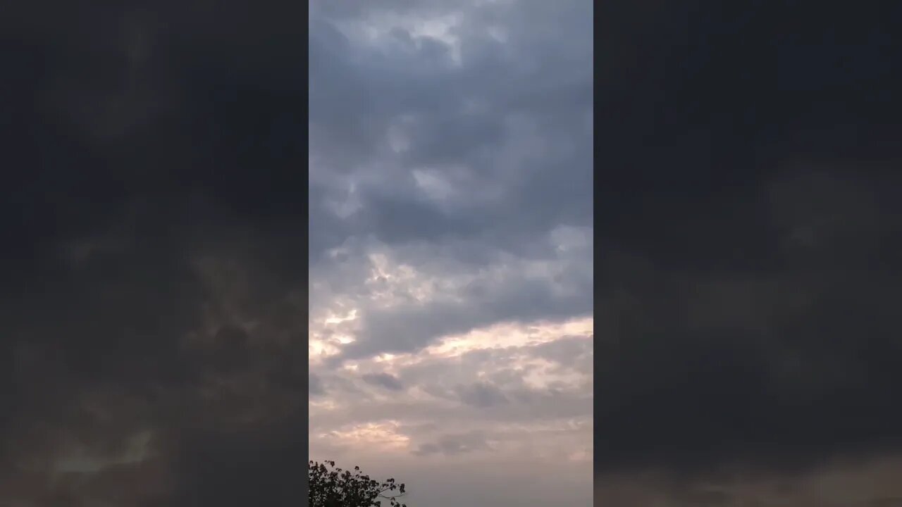 Beautiful fresh morning | La ilaha illallah wahdahu la sharika lahu Lahul-mulku wa lahul hamd