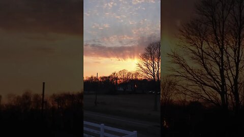 Sony ZV-E10 Kit Lens Zoom Test 📸