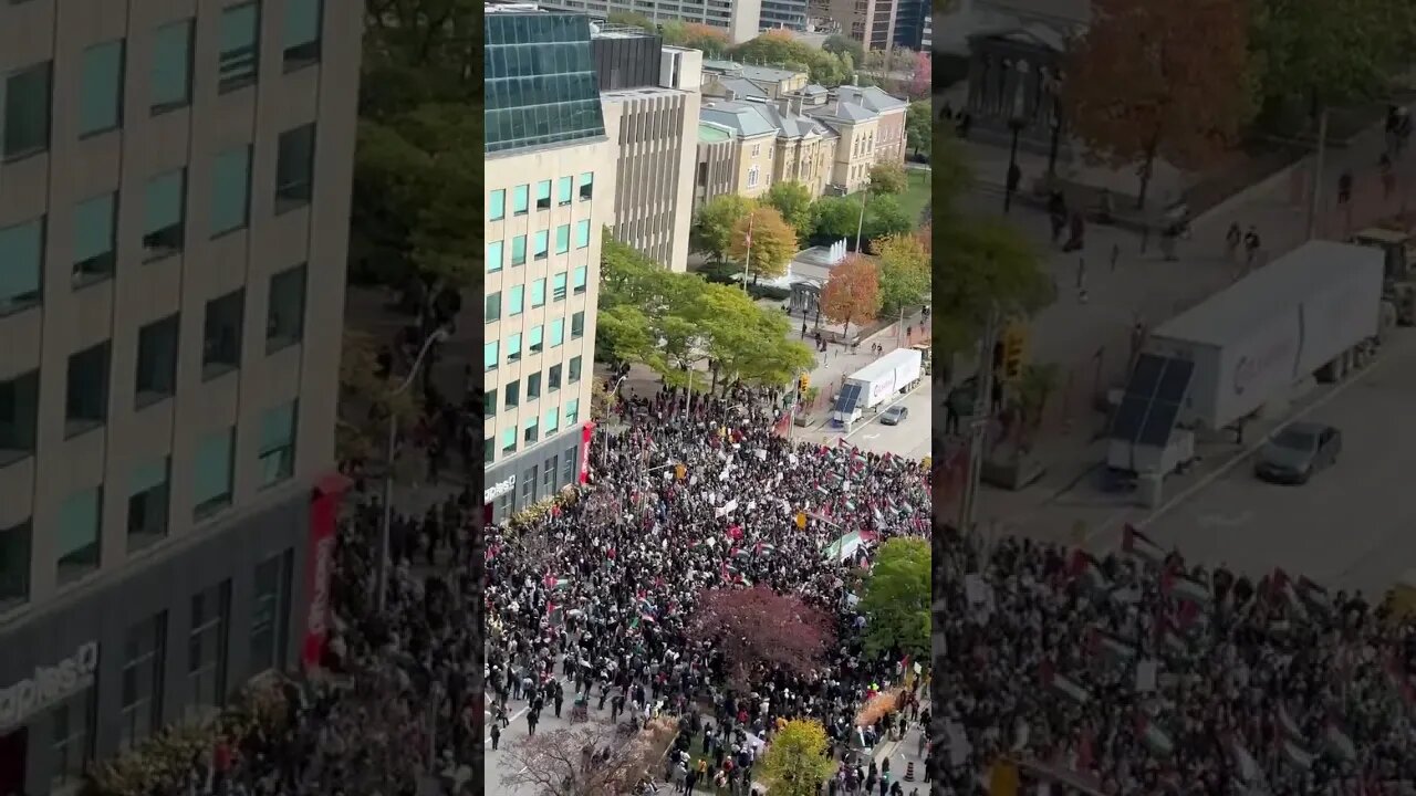 Human Rights Protest In Toronto In Support Of Palestine #stoptheviolence