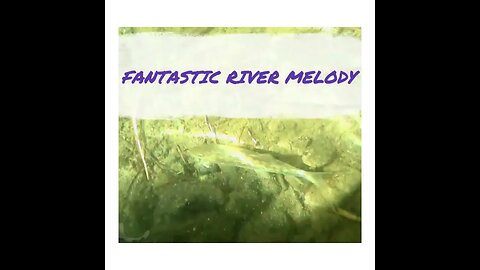 FANTASTIC RIVER MELODY | SHORTS VIDEO
